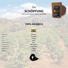 Die Schöpfung | blumig, fruchtig, feine Säure | milde & harmonische Kaffeebohnen | 500g | 100% Arabica | Äthiopien - Yirgacheffe | frisch geröstet | Versand direkt aus der Rösterei | Medium Roast