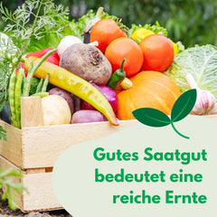 Cosmos Sensation Mix 1g mag, Cosmos Mix Nyári virágok, Kerti növények Erkélynövények, Virágmagok