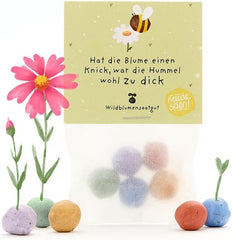 Humorvolles Geschenk: 5 Bunte Blumenmurmeln | Farbenfrohe Seedbombs Mit Wildblumensaatgut | Als Dankeschön, Gastgeschenk & Kleine GrĂŒĂe FĂŒr GĂ€rtner | 100% Ăkologisch Und Mind. 2 Jahre Haltbar
