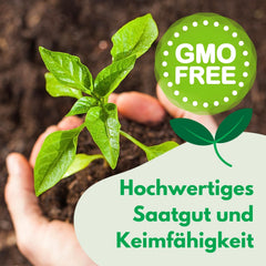 Cosmos Sensation Mix 1g mag, Cosmos Mix Nyári virágok, Kerti növények Erkélynövények, Virágmagok