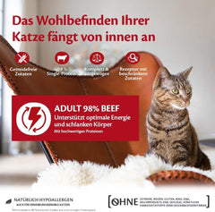 Wellness CORE 98% 12 x 85g, Vită – Hrană umedă pentru pisici, pate gros, fără cereale, natural, hipoalergenic, bogat în proteine, conținut ridicat de carne