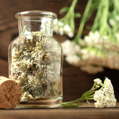 Tea magkészlet: 8 fajta mag erkélyre és kertre - menta, kamilla, ánizs, csalán, mályva - növényi magvak - tea - teásdoboz - Saját termesztésű növények