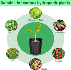 76 Stück Hydrokultur Pflanzen Net Kit -20 Stück 2 hüvelykes (5 cm)-Topfbecher mit geschlitztem Netz, 36Stück Steinwolle Anzucht, 20Stück Artikel Selbstbewässernde Dochtschnur aus Baumwolle für