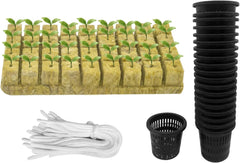 76 Stück Hydrokultur Pflanzen Net Kit -20 Stück 2 hüvelykes (5 cm)-Topfbecher mit geschlitztem Netz, 36Stück Steinwolle Anzucht, 20Stück Artikel Selbstbewässernde Dochtschnur aus Baumwolle für