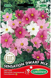 Ékszerkosár, tarka, EC1515