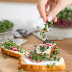 Microgreens Samen Set Von Owngrown - 8 Sorten BIO Sprossen Und MikrogrĂŒn Saatgut Im Microgreens Starter Set - Alfalfa, Rucola, Kresse FĂŒr Kresse Anzuchtschalen Uvm - Sprossen Samen