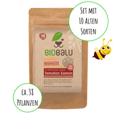 Tomatensamen Bio - 10 Alte Sorten in Einzelpackungen - Historisches Saatgut Set Tomaten, Saatgut RaritĂ€ten in BioqualitĂ€t, Samenfeste & Seltene Tomatensorten FĂŒr - Geschenkset
