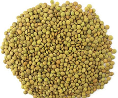 Zöld lencse – Laird Variety, 1 kg-os kiszerelés | Prémium minőség, egész lencse | Fehérjében és rostban gazdag | Vegán, nem GMO | Ideális levesekhez, salátákhoz, currykhoz és ételek elkészítéséhez