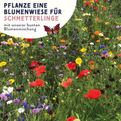 Schmetterlingswiese Blumensamen Schmetterlingsgarten I Blumensamen Balkon I Blumensamen TĂŒtchen mit Wiesenblumen Samen I bienenfreundlich Blumensamen (Schmetterlings-Zauber mini)