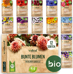 Bio virágmag készlet | 12 fajta virágmag | Prémium virágmagok | Vadvirágmag növény magkészlet | Flower seeds | Virágmagok az erkélyre | Ideális ajándék virágmaggal