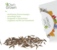 Cosmos magok (foltos): Prémium Cosmos magok 100 virágzó Cosmos növényhez – Ehető virágmagok – Színes virágmagok – Vadvirágmagok a saját termesztéstől