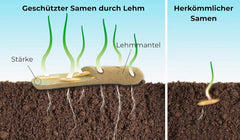 Virágmagok agyagvédő bevonatban méheknek és lepkéknek, 400g. Évelő és télálló vadvirágok keveréke 20 m²-re. Gyönyörű vadvirág magvak színes méhlegelőhöz. Ajándék gyerekeknek.