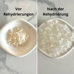 Natural Probio® Wasserkefir, Kefirpilz, Japankristalle, Kefirknollen, Starter Set + Anleitung, Rezept, Tipps, E-Book & Rezeptbibliothek + Kundenservice auf Lebenszeit (10g dehidratált/60g rehidratált)