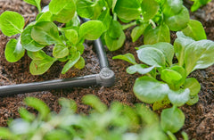 Piesă în L pentru sistemul de picurare Gardena Micro-Drip 4,6 mm (3/16 inch): Pentru schimbarea direcției de distribuție și a liniilor de picurare cu 90 de grade, instalare fără îndoiri, tehnologie de conectare ușoară și flexibilă (13212-20)