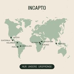 Selecție de boabe de cafea Incapto la nivel mondial | Selecție de 10 origini din întreaga lume | Cafea de specialitate | 100% Arabica | Ideal ca set cadou de cafea | Pentru iubitorii de cafea | 10 pachete x 100g
