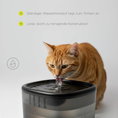 Feast Automatische Futterautomat Katze mit App und Kamera, Live-Video mit Nachtsicht und Zwei-Wege-Audio, Portionskontrolle, Edelstahl-Napf, Katzen Trinkbrunnen mit Filter, 4,5 l és 2,5 l