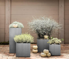 Ghiveci Dehner Palermo, aprox. 40 x 40 x 33 cm, plastic, gri