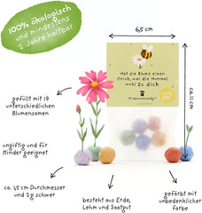 Humorvolles Geschenk: 5 Bunte Blumenmurmeln | Farbenfrohe Seedbombs Mit Wildblumensaatgut | Als Dankeschön, Gastgeschenk & Kleine GrĂŒĂe FĂŒr GĂ€rtner | 100% Ăkologisch Und Mind. 2 Jahre Haltbar