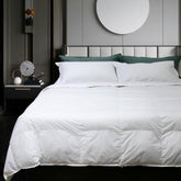 Nottetempo, plapumă din puf de gâscă, pat simplu, 205 X 155 X 2 Cm, Bianco Plapumi si pilote Naty Shop Singur 205 X 155 X 2 cm