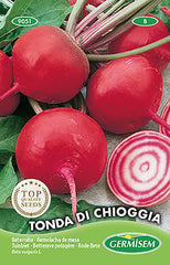 Rode Bete TONDA DI CHIOGGIA