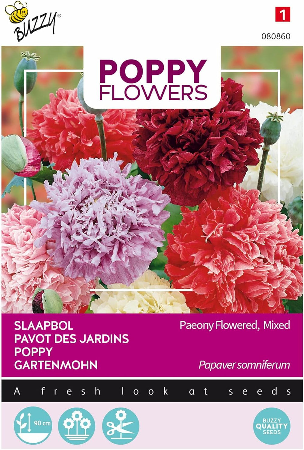 Mák virágok Buzzy Mac Paeoniflorum Gef. Keverék.