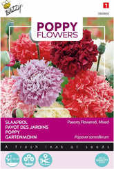 Mák virágok Buzzy Mac Paeoniflorum Gef. Keverék.