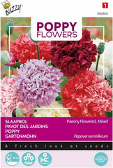 Mák virágok Buzzy Mac Paeoniflorum Gef. Keverék.