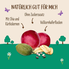 Allos cukrozatlan protein müzli | Bio müzli | Zabpehely | Gabonafélék reggelire | Vegán (5 x 450 g), 1 db (5 db-os csomag)