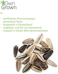 Sárga korongos napraforgómag (Helianthus annuus): Prémium napraforgómag, napraforgómag körülbelül 20 napraforgó növény termesztésére - Rovarbarát virágmag saját termesztésből