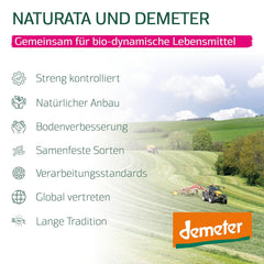 Bio egész tönköly lasagna lapok, 250g | Demeter varázslat a Sváb-Alpokból | Finom dióíz lasagnához és rakott ételekhez