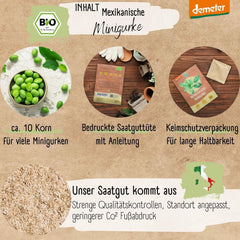 Semințe de castraveți mini mexicani organici, 10 semințe de castraveți gustare, rată mare de germinare, certificate Demeter și polenizate deschis | Semințe de legume de la LOVEPLANTS, pentru balcon, grădină, strat înălțat – Soiuri de legume Heirloom