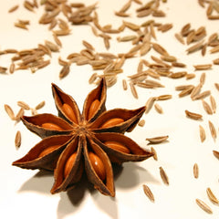 - Fünf Gewürze por, (1 x 50 GR)