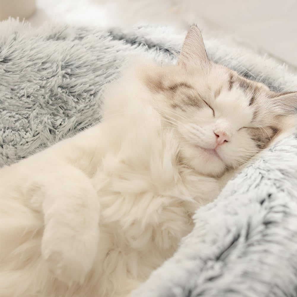 Pat pentru pisoi, peșteră pentru pisici mici, sac de dormit pentru animale de companie, pat moale, din pluș, cald, de iarnă, peșteră pentru pisici, peșteră pentru pisici, 50 x 50 cm pentru pisici și câini mici (gri)