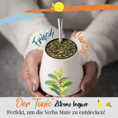 ORIGEENS BIO YERBA MATE CU LĂMÂIE ȘI GHIMBIR 200 G - Ceaiul energizant I Ceai Yerba Mate bio neprăjit, frunze, fără tulpini și praf