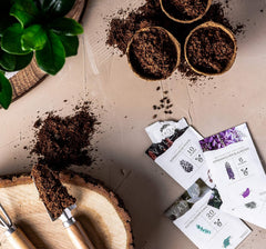 10 bonsai mag 5 kontinensről | Egzotikus famagok egyedi bonsaihoz | Kezdőkészlet és a növények szerelmesei | Bonsai készletünk különleges ajándékötlet