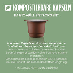 Caffè Vergnano 1882 - Èspresso Kompostierbare Kaffeekapseln, Kompatibel Mit Nespresso, Cremoso (Cremig) - Packung Enthält 100 Kapseln