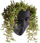 Jardinieră Notakia cu față, montată pe perete, pentru uz interior și exterior, cu drenaj, pentru suculente, cactuși și plante mici, decorațiune unică pentru casă, cadou pentru prieteni și familie