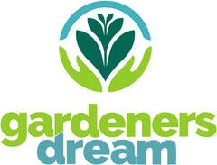 Kertészek álma: 4 igazi Tillandsia növény - 4 igazi Tillandsia légi növény - Terráriumi növények - Dekoratív terráriumi növények - Légtisztító házi növények - Dísznövények - Valódi növények