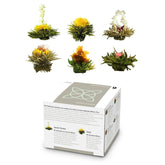Feelino Cutie mixtă elegantă cu 6 bucăți - Flori de ceai Feelino White într-o cutie superbă de degustare și cadou cu 6 trandafiri de ceai alb diferiți, ambalați individual în vid, pachet cu 1 bucată