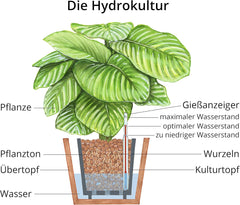 Dehner Planting Clay, 10 l, 4/8 mm szemcseméretű, univerzális méretű
