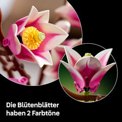 LEGO Botanicals Magnolienzweige - Művirág szett felnőtteknek - 5 mesterséges magnólia dekorációhoz a nappaliban vagy hálószobában - Barkácsolás ajándékötlet nőknek - 11510