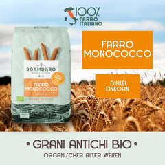 Bio Penne Rigate tészta N.91 - 500g Alacsony zsírtartalmú búza tészta - Rost- és fehérjeforrás