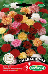 Gartennelken EC1523 többszínű