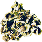 500 Samen Meerrettichbaum -Moringa Oleifera- >>>Der Vitaminbaum Der Sehr Schnell Wächst<<<