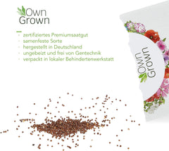 Petúnia magok: Prémium petúnia magok körülbelül 400 petúnia növényhez – Gyönyörű petúnia magok erkélyes és kerti növényekhez – Virágmagok – Kúszónövény-petúnia magok – Saját termesztésű balkonvirágok