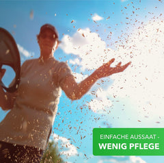 A természet varázsa 800gr. Blumensamen Mischung - Bienen Paradies - Blühfreudige Bienenweide für 150 bis 250 m²