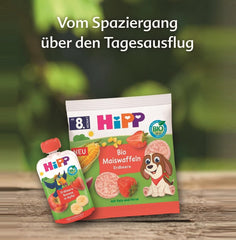 Pungă de fructe stoarcabilă HiPP Organic cu căpșuni și banane în culoarea mărului - Theo Tukan (8 x 100g), de la 1 an, piure de fructe 100%, fără zahăr adăugat, vegan, de cea mai bună calitate organică