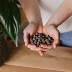 Westland Clay Granules, 5 L - Granulátum növények számára, ideális hidroponikához, vízelvezető szubsztrátumhoz vegyi adalékok nélkül, beltéri és kültéri használatra