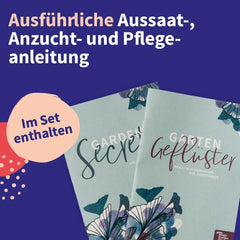 Varázskerti magvak - Közép-európai gyógynövény magkészlet - 12 hagyományos gyógynövényfajta - Örökségfajták - Kertkiegészítők - Növénymagok - Ajándék kertbarátoknak