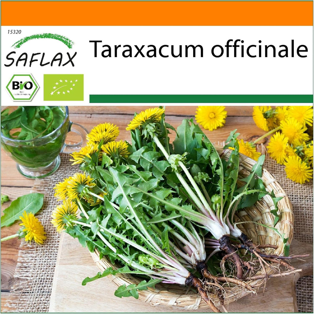 SAFLAX - BIO - Pitypang - 400 mag - Taraxacum officinale
